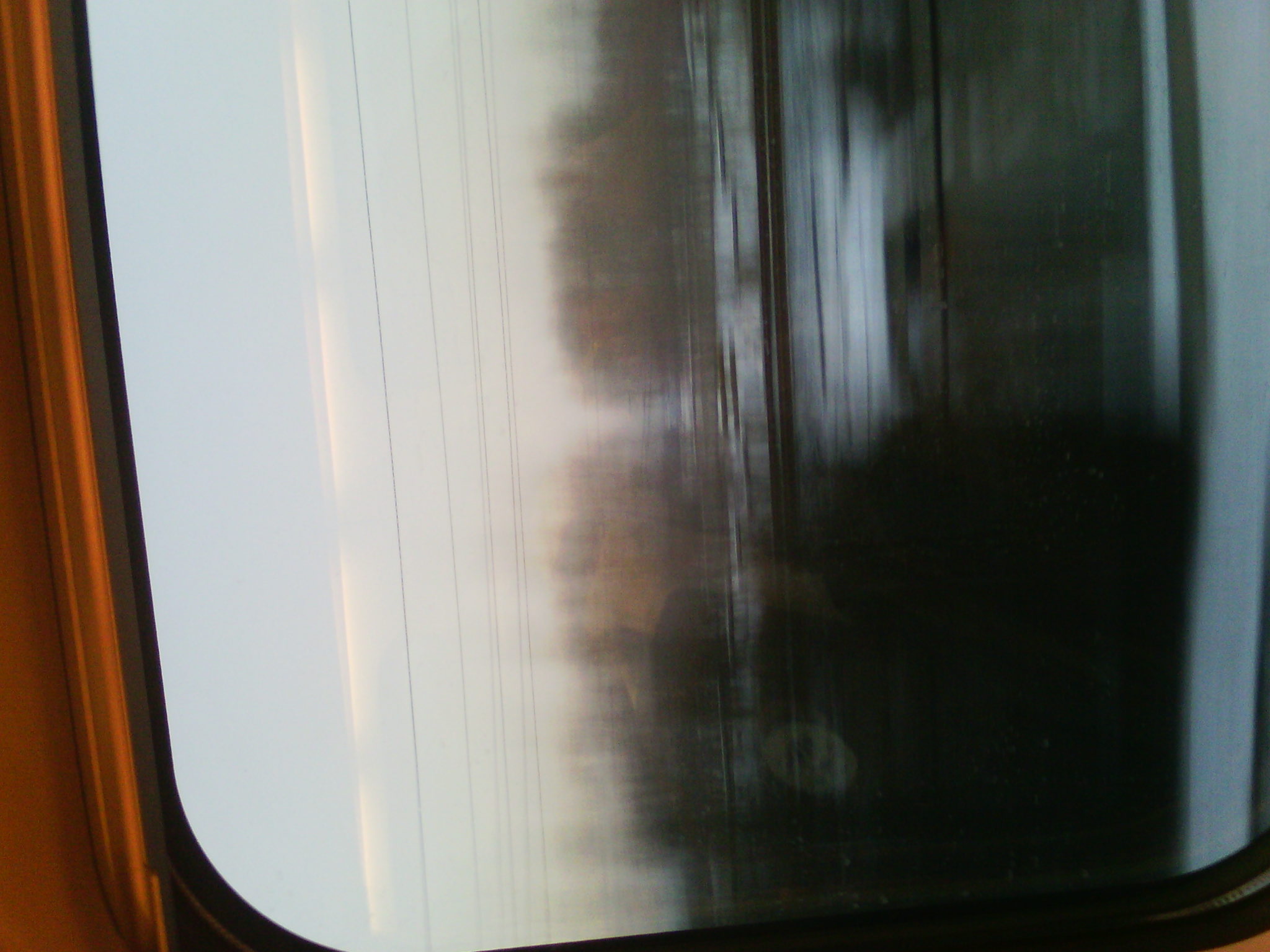 IMG_20121231_073432.jpg