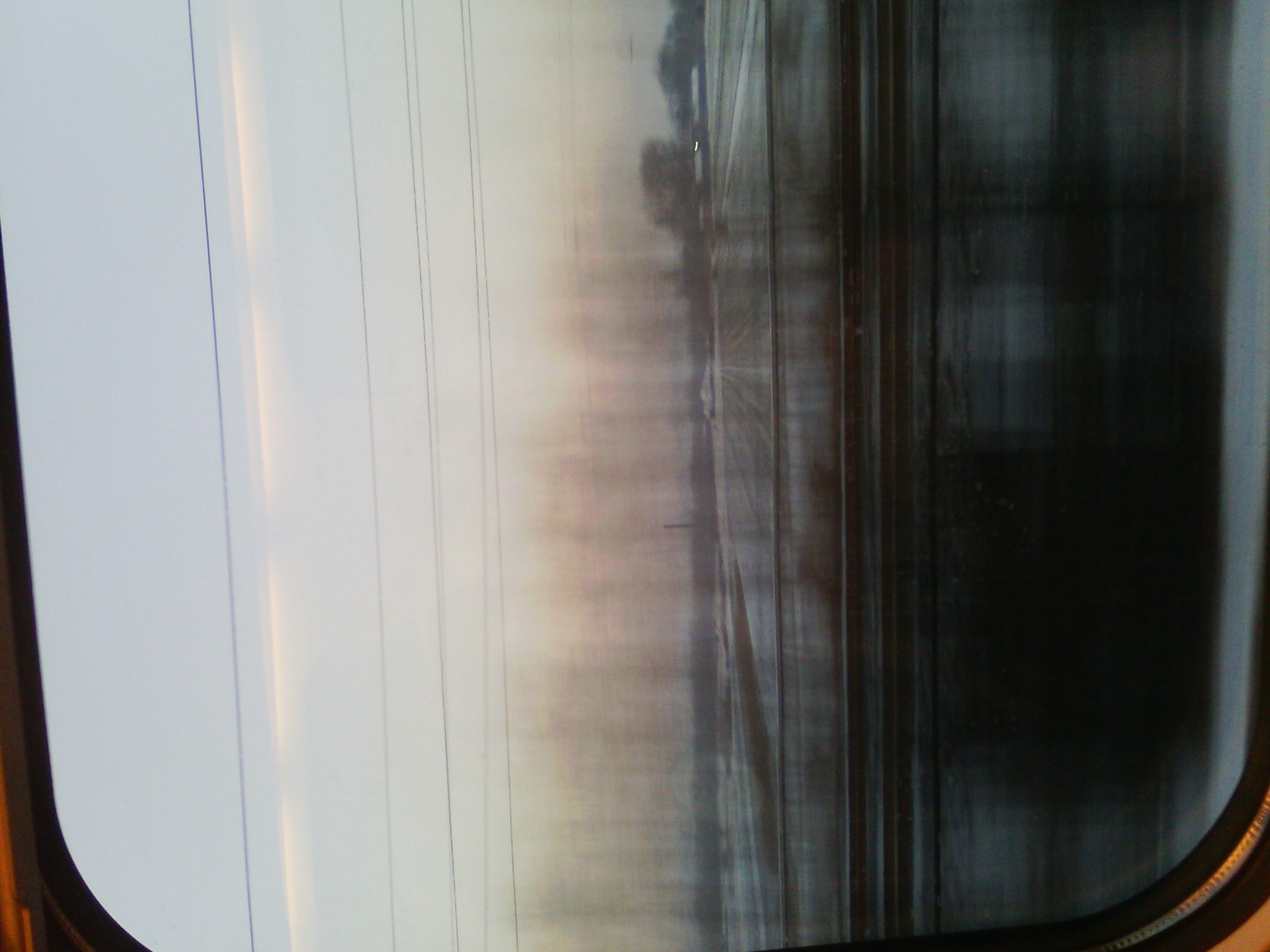 IMG_20121231_073439.jpg