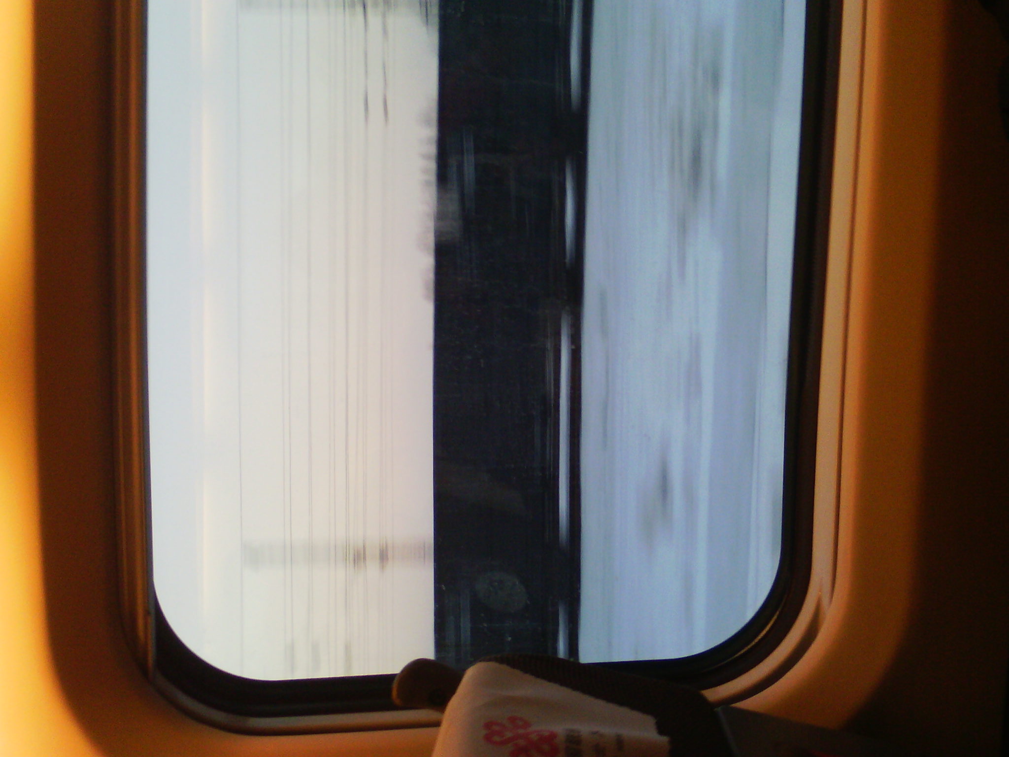 IMG_20121231_073915.jpg