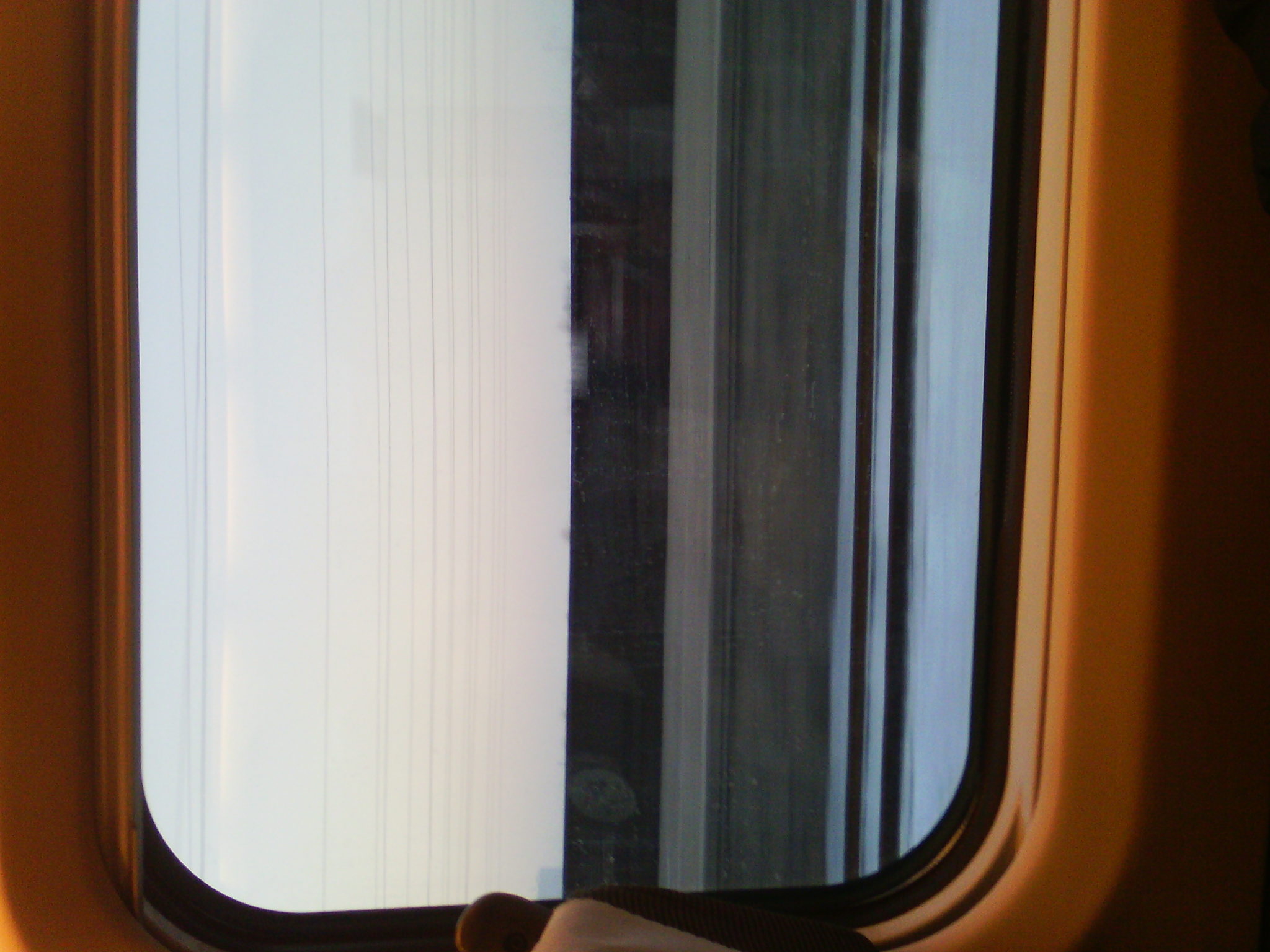 IMG_20121231_073920.jpg