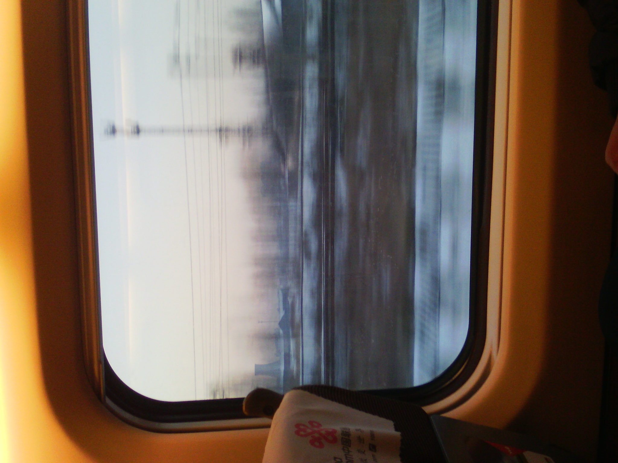 IMG_20121231_073942_02.jpg