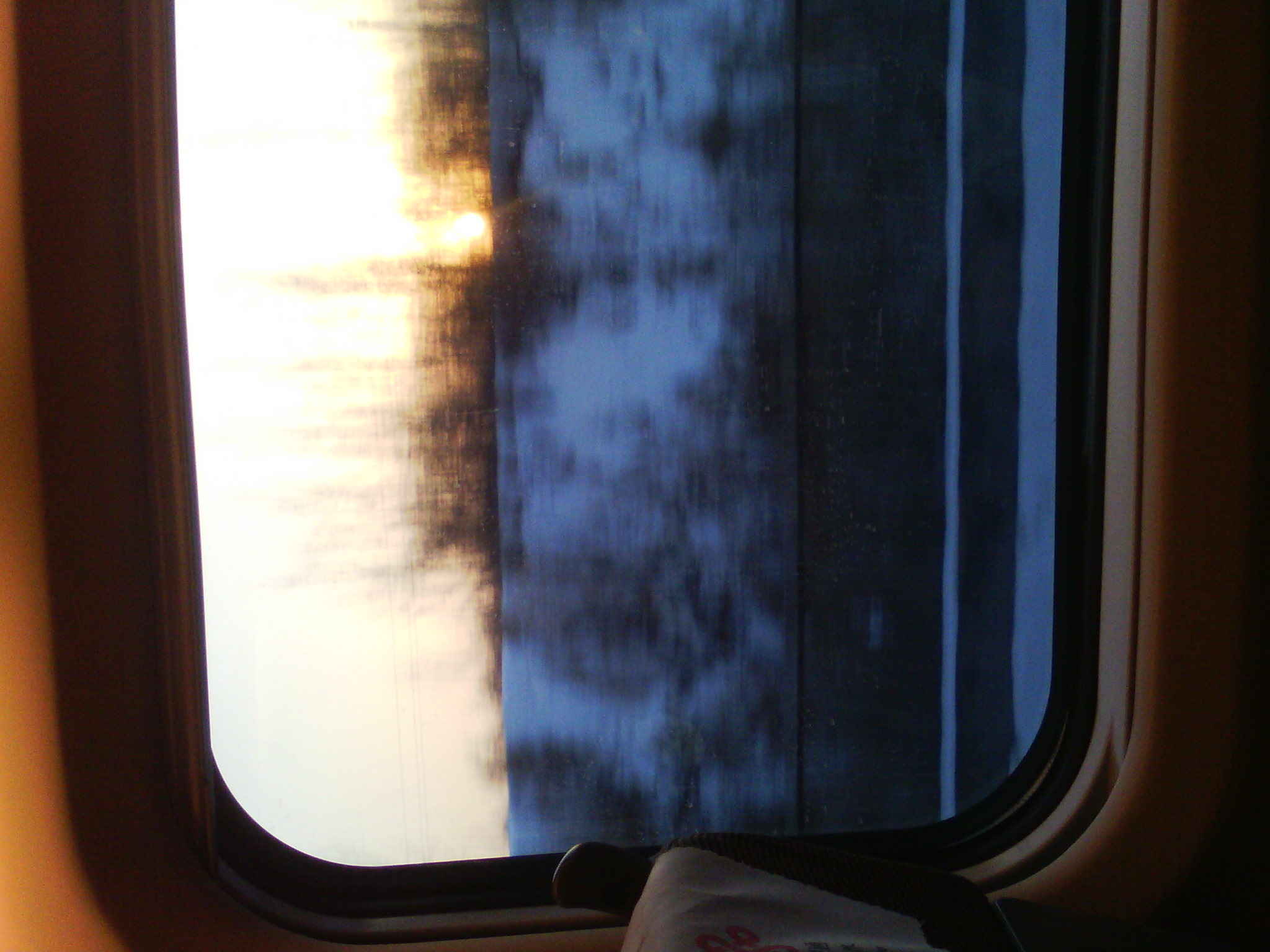 IMG_20121231_074955_03.jpg