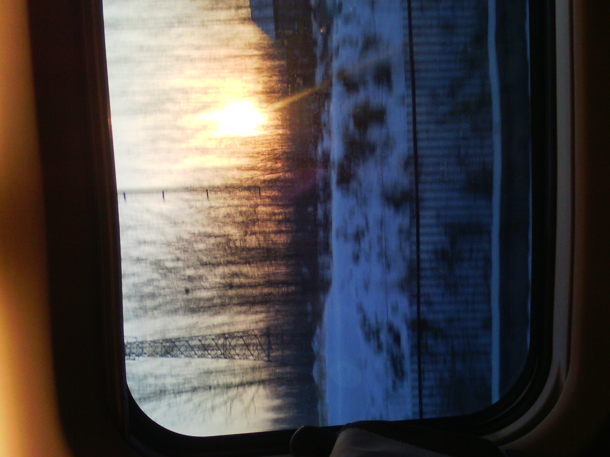 IMG_20121231_075001_00.jpg