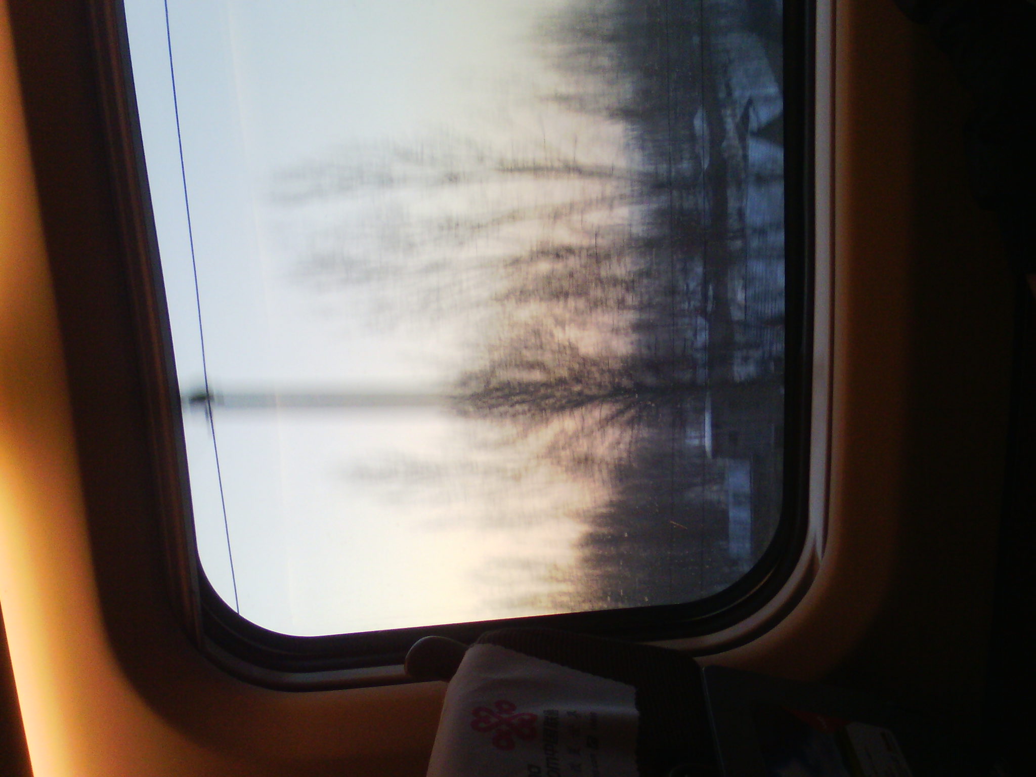 IMG_20121231_075112_00.jpg
