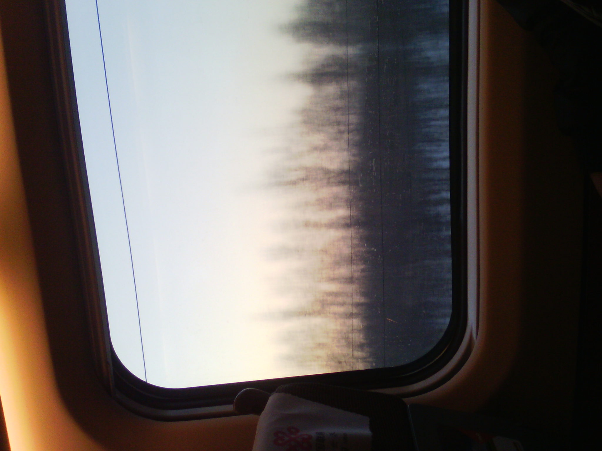 IMG_20121231_075112_02.jpg
