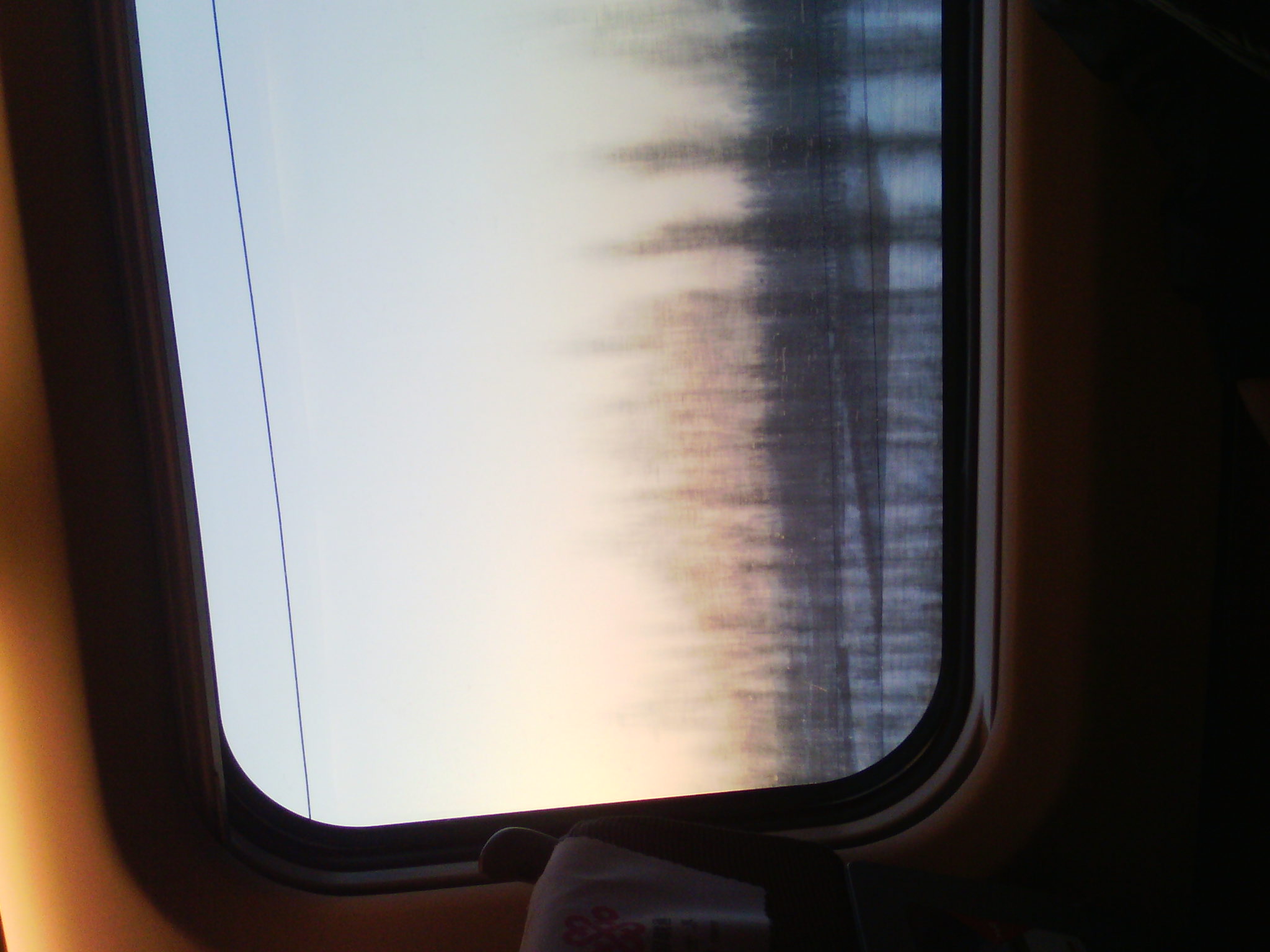IMG_20121231_075118_01.jpg
