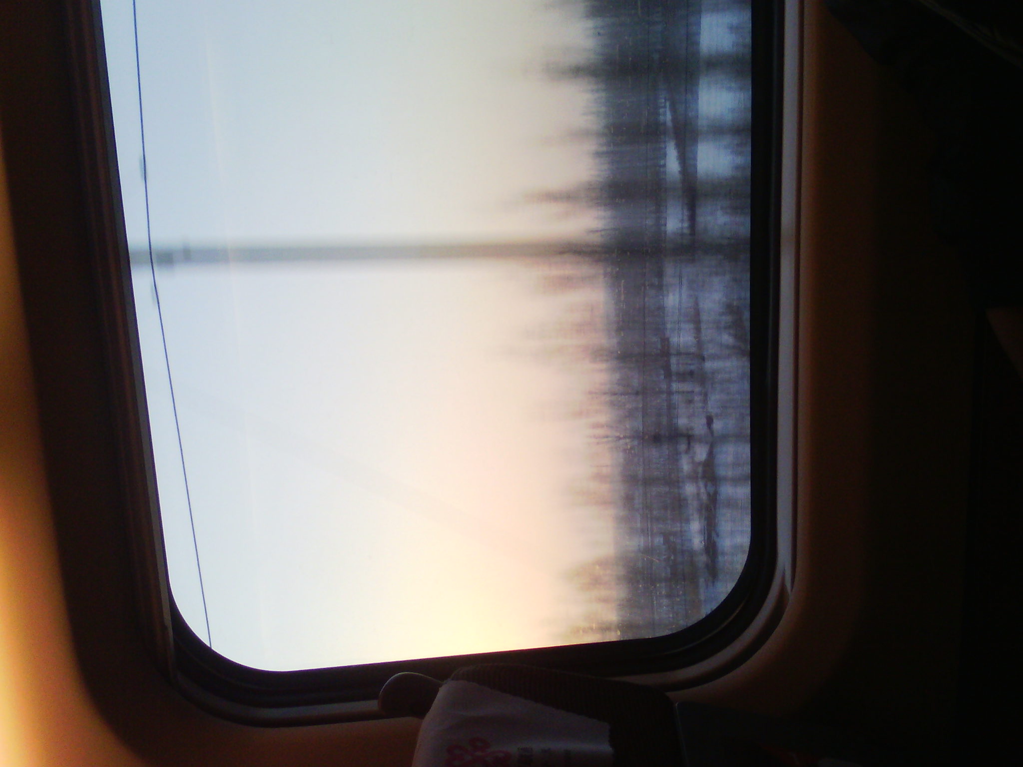 IMG_20121231_075118_02.jpg