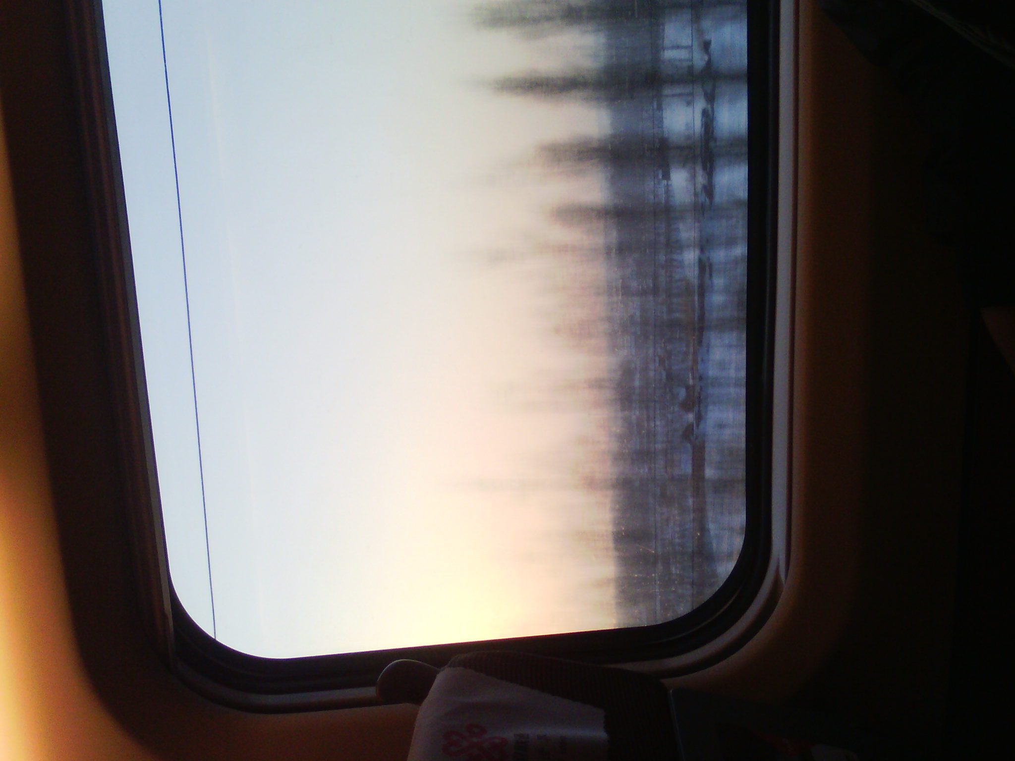 IMG_20121231_075118_03.jpg