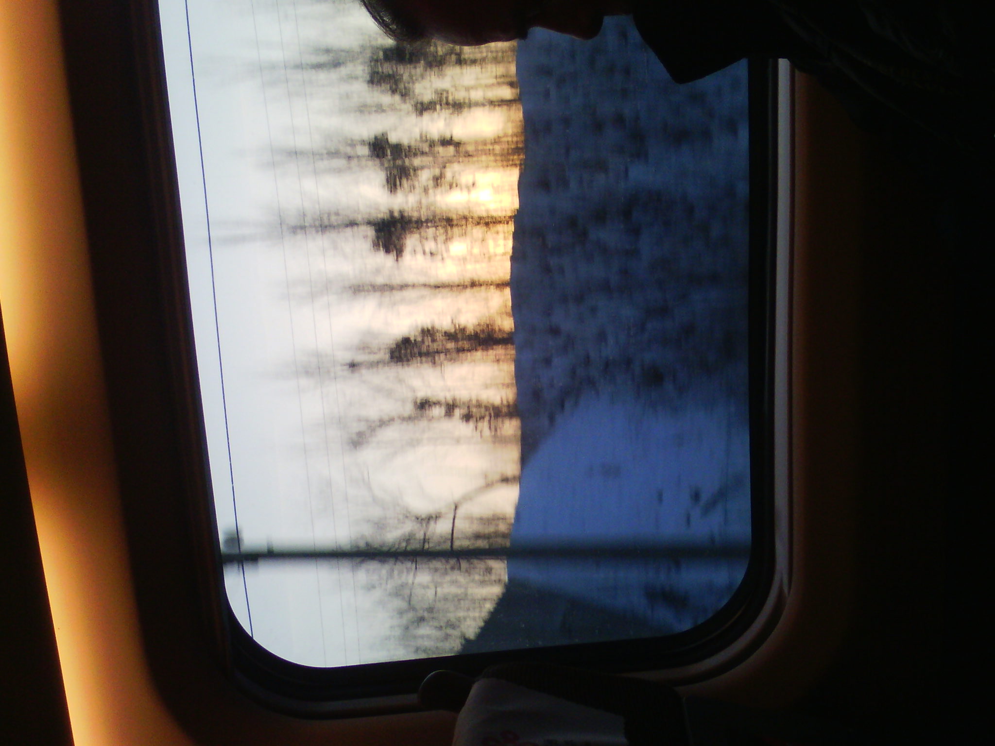 IMG_20121231_075145_03.jpg