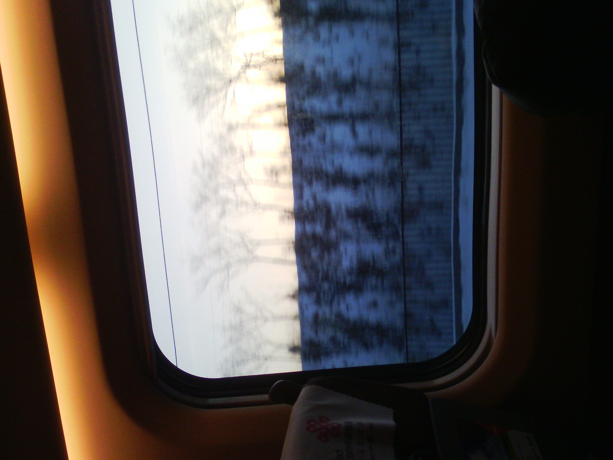 IMG_20121231_075152_00.jpg