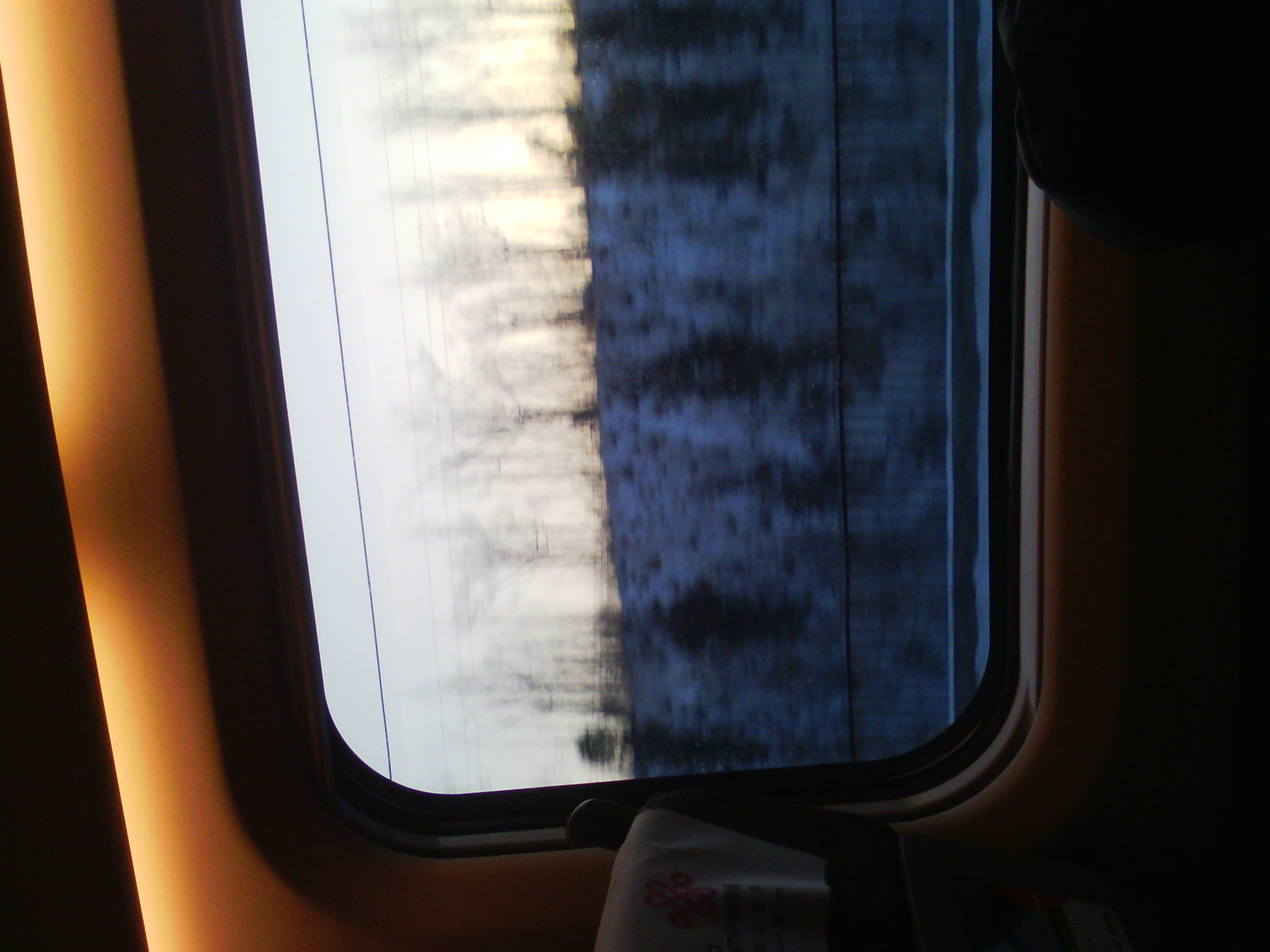 IMG_20121231_075152_02.jpg
