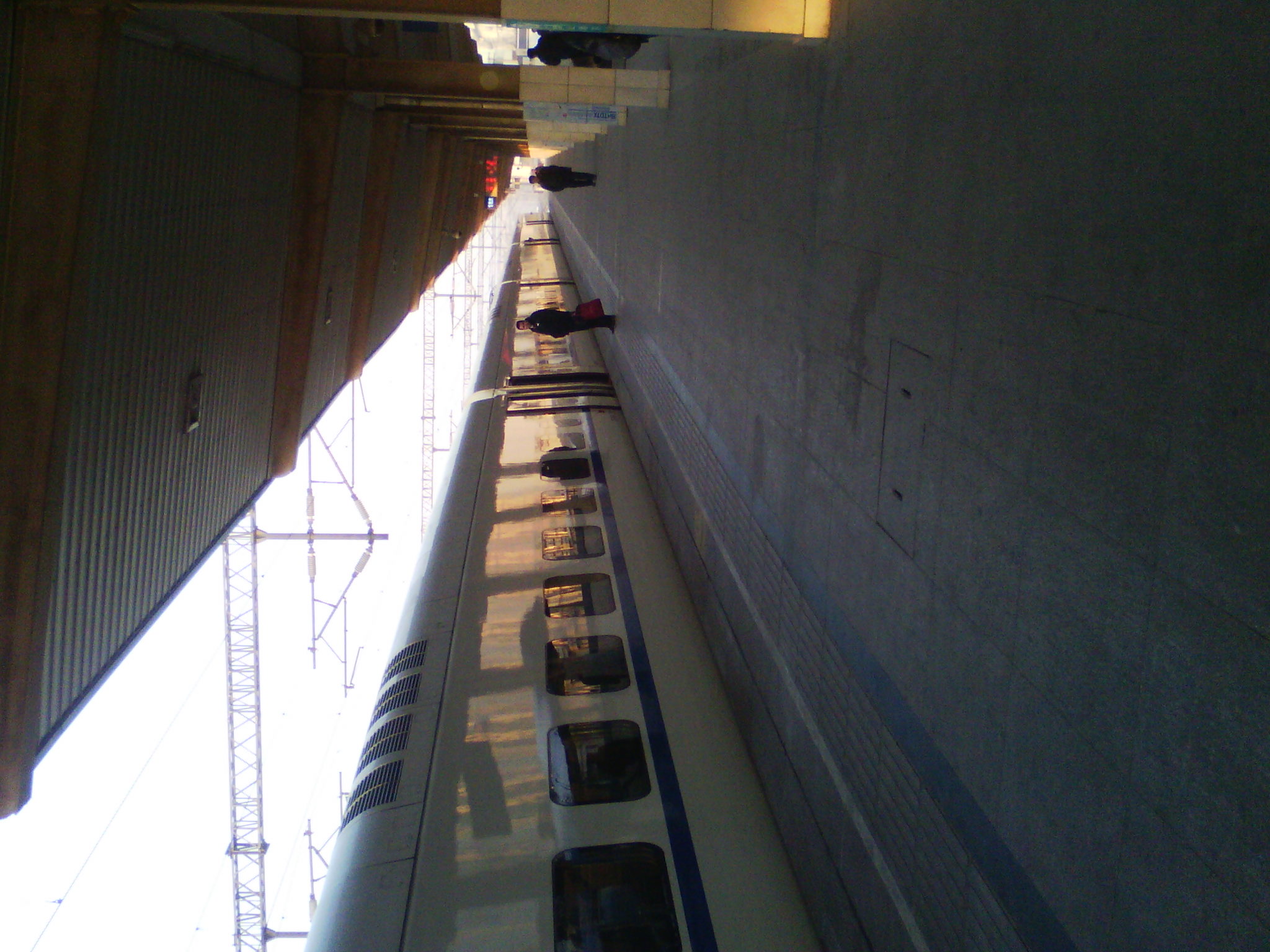 IMG_20121231_080145_02.jpg