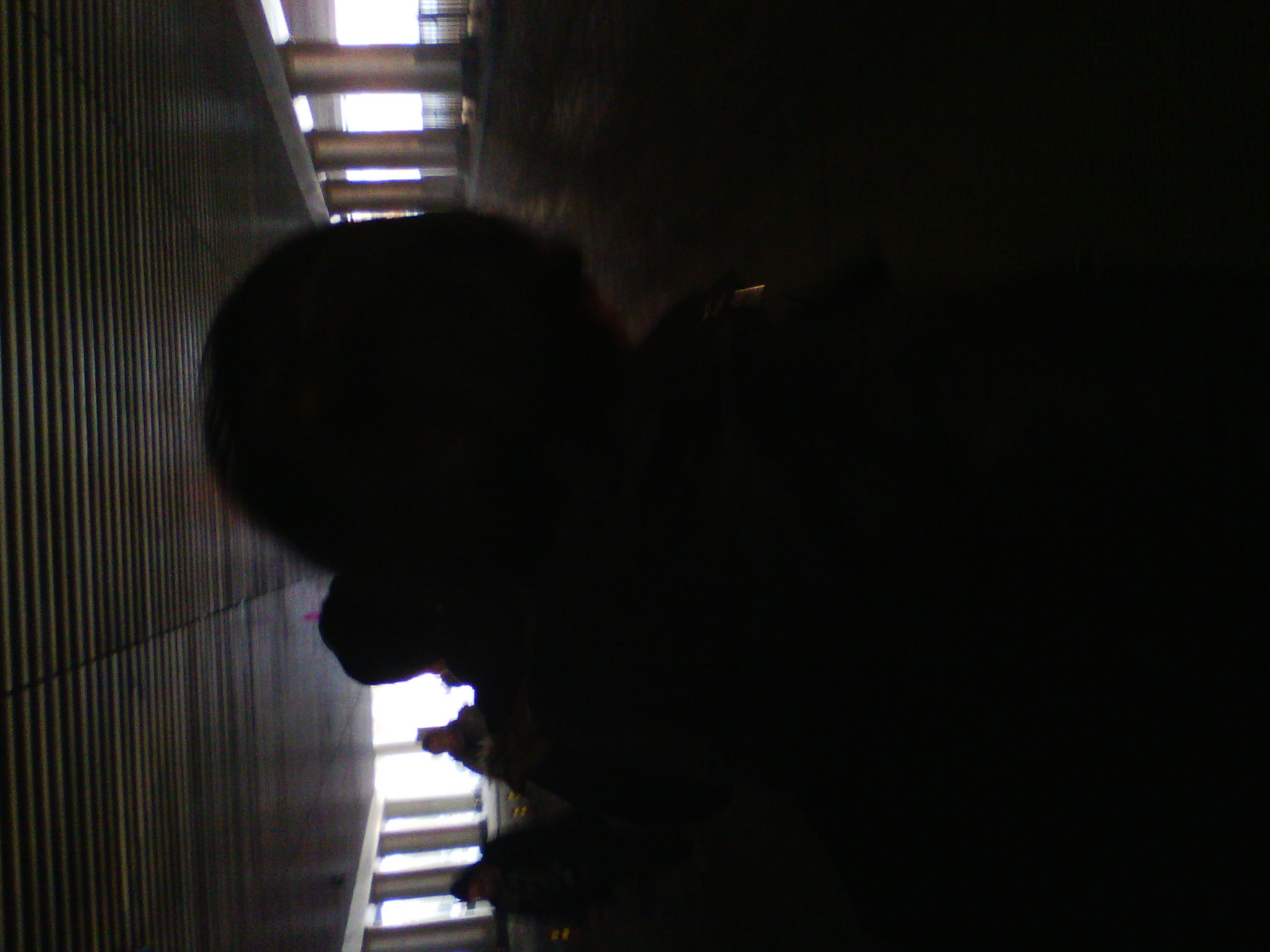 IMG_20121231_080500.jpg