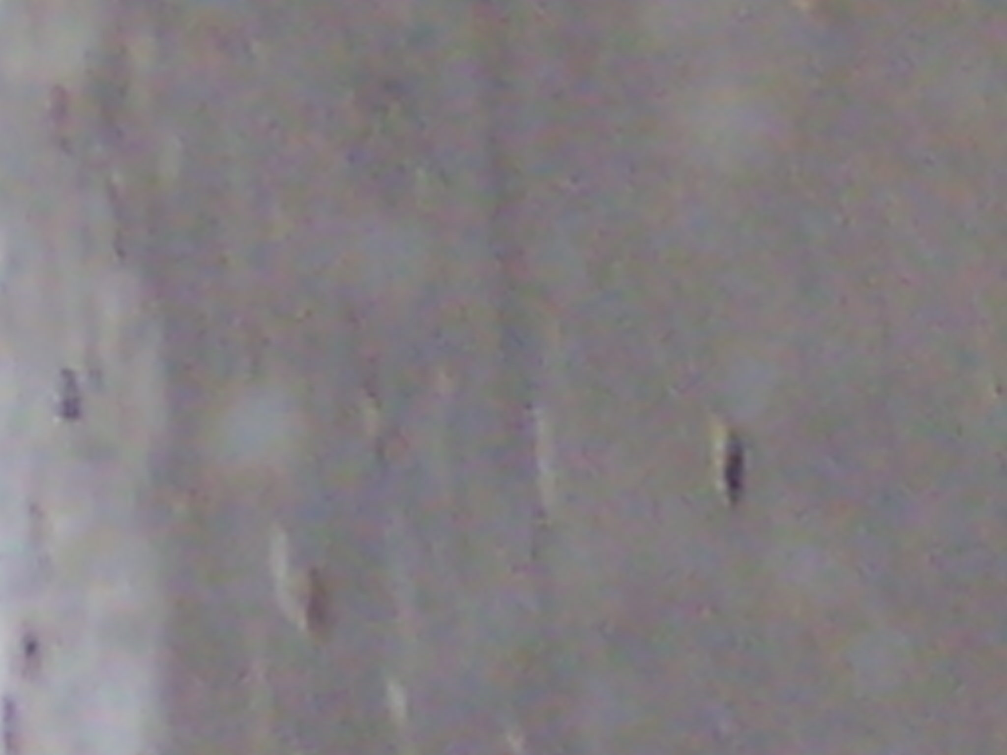 IMG_20121231_082223.jpg