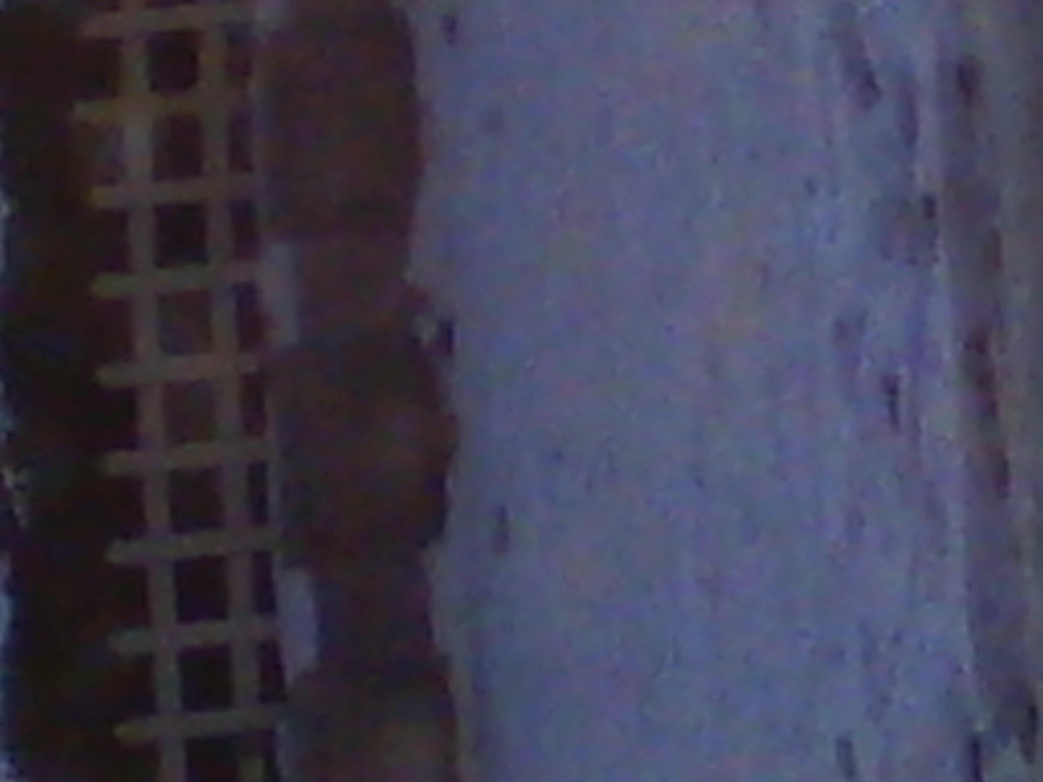 IMG_20121231_082231.jpg