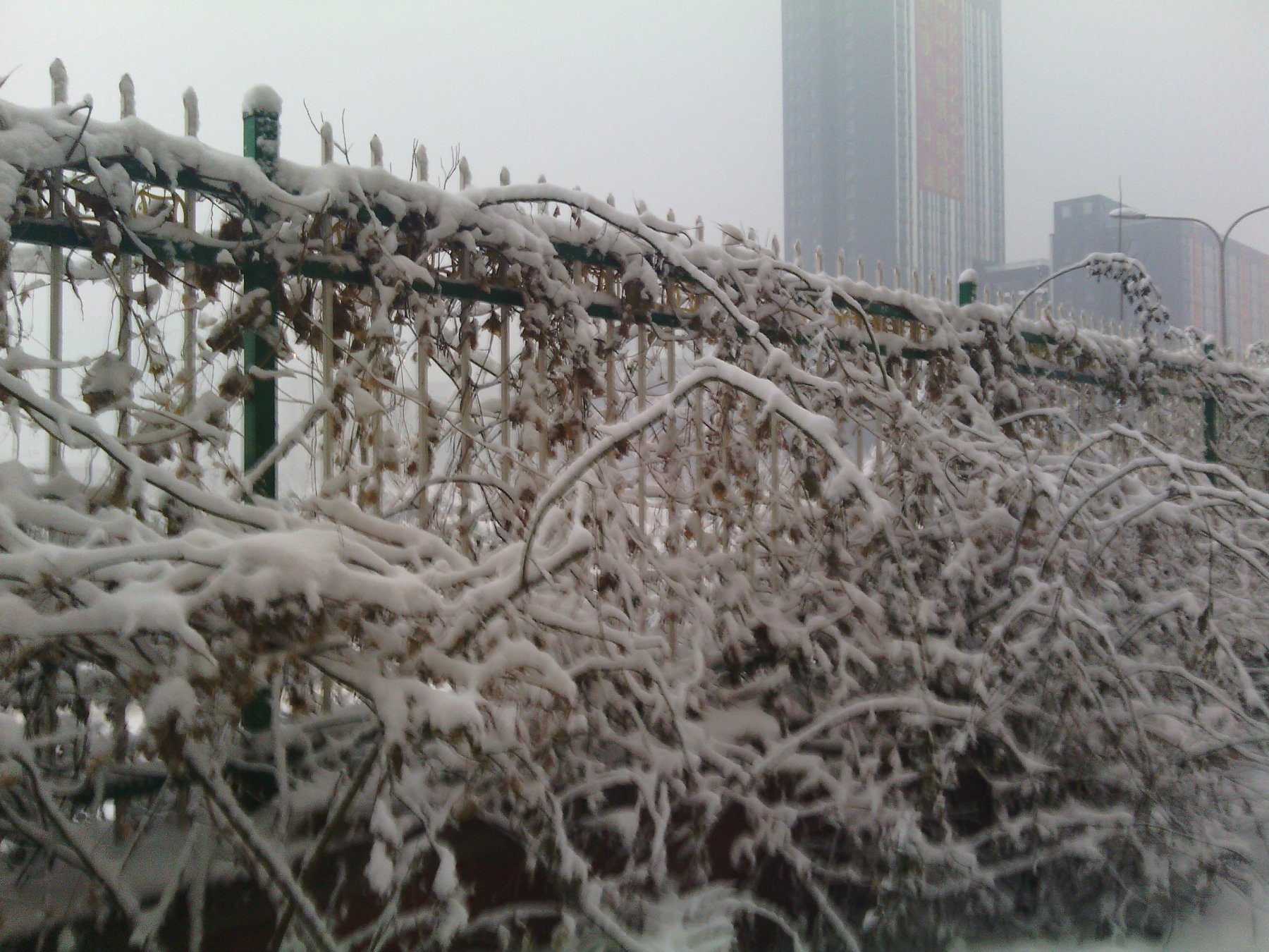 IMG_20130121_074446.jpg