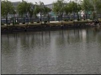 20109811727702.jpg
