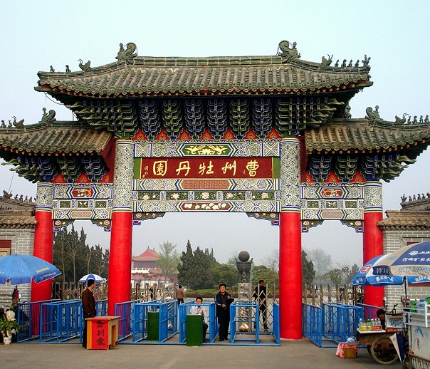 201122214327375.jpg