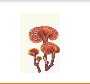 QQ截图20130210101433.png