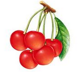 QQ截图20130214133133.png