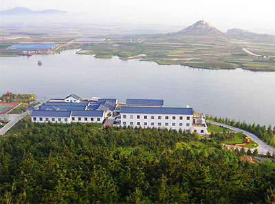 20110106120720216.jpg