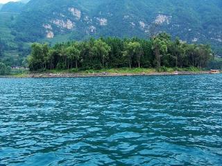 005010_2748_1x.jpg