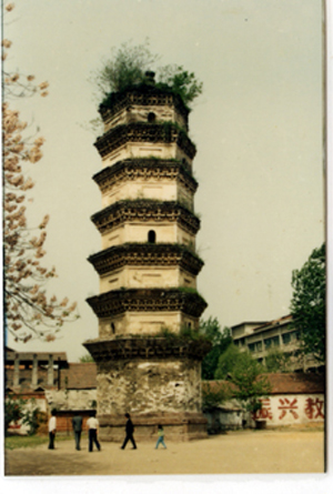 14949_2.jpg