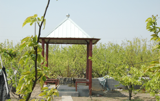 2011930174603.jpg