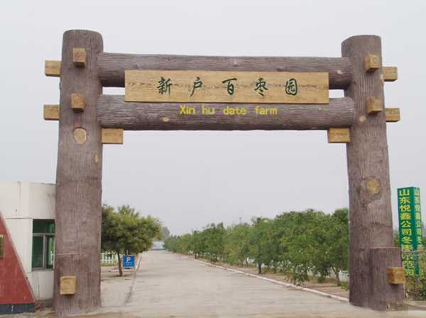 2011930155640.jpg