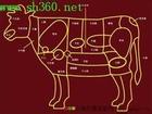 u=2995368347,58623212&fm=0&gp=0.jpg