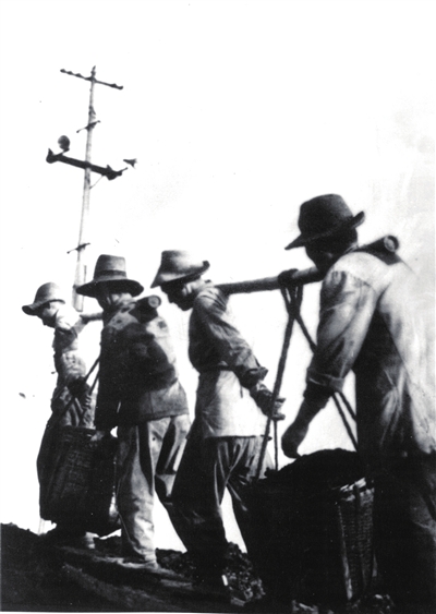 p41_b.jpg