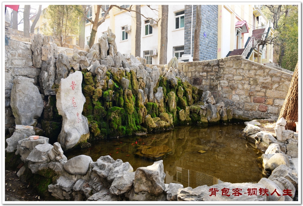 145111sohx8ys22yysth0x.jpg