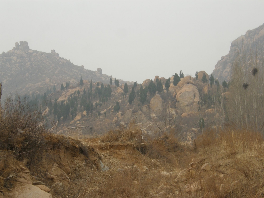 212721w944luwauz44pnja.jpg