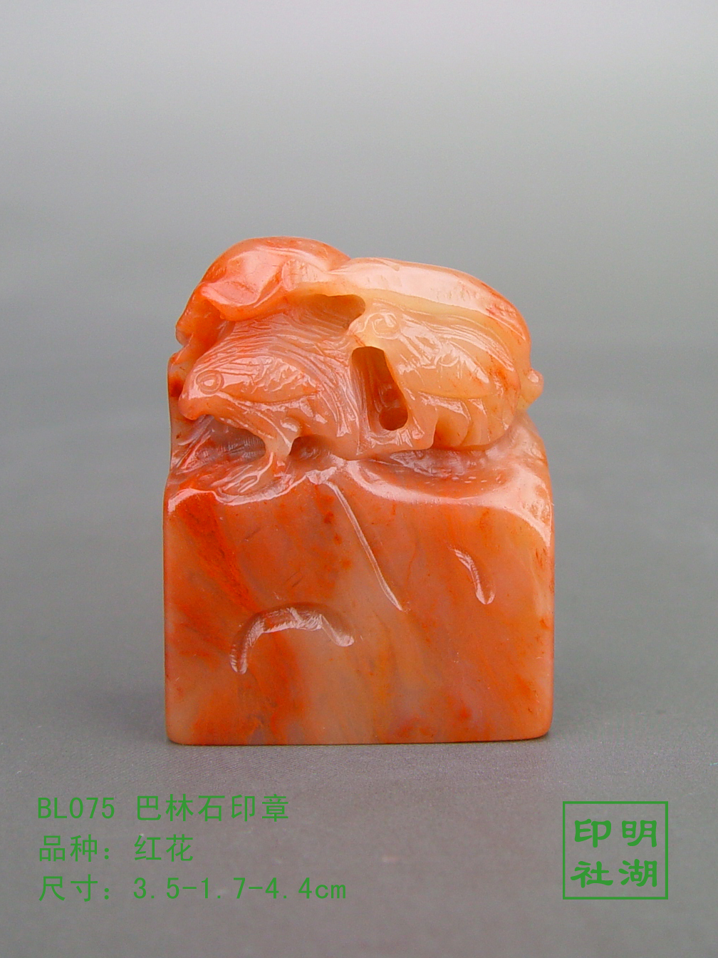 BL075巴林红花鸡前3.5-1.7-4.4cm副本.jpg