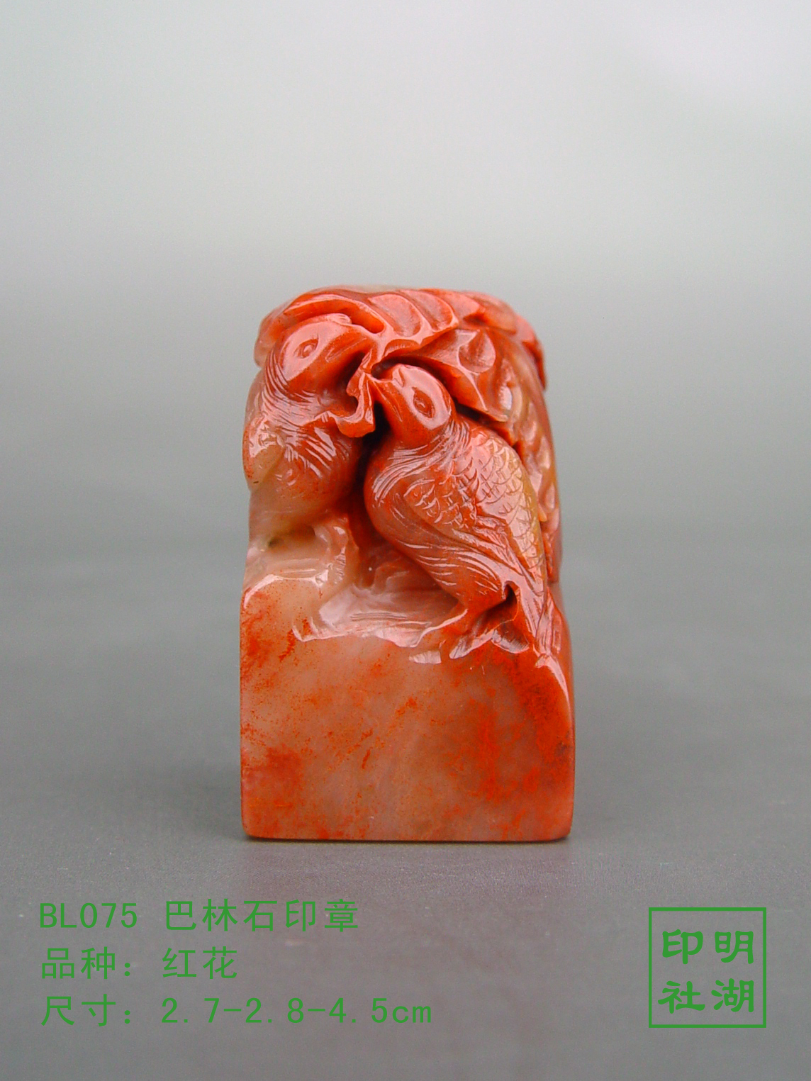 BL075巴林红花喜鹊前2.7-2.8-4.5cm副本.jpg