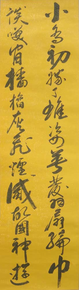 DSC01169.jpg