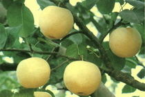9TEUCAYKTSR8CAF5581ACAKHPUCCCABBXOI7CADAV115CAIQSEIKCAI80L27CAYE6NTQCA9M55W2CA22.jpg
