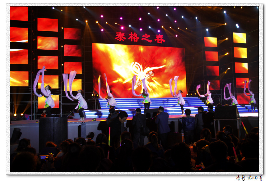 泰格之春晚会 232.jpg