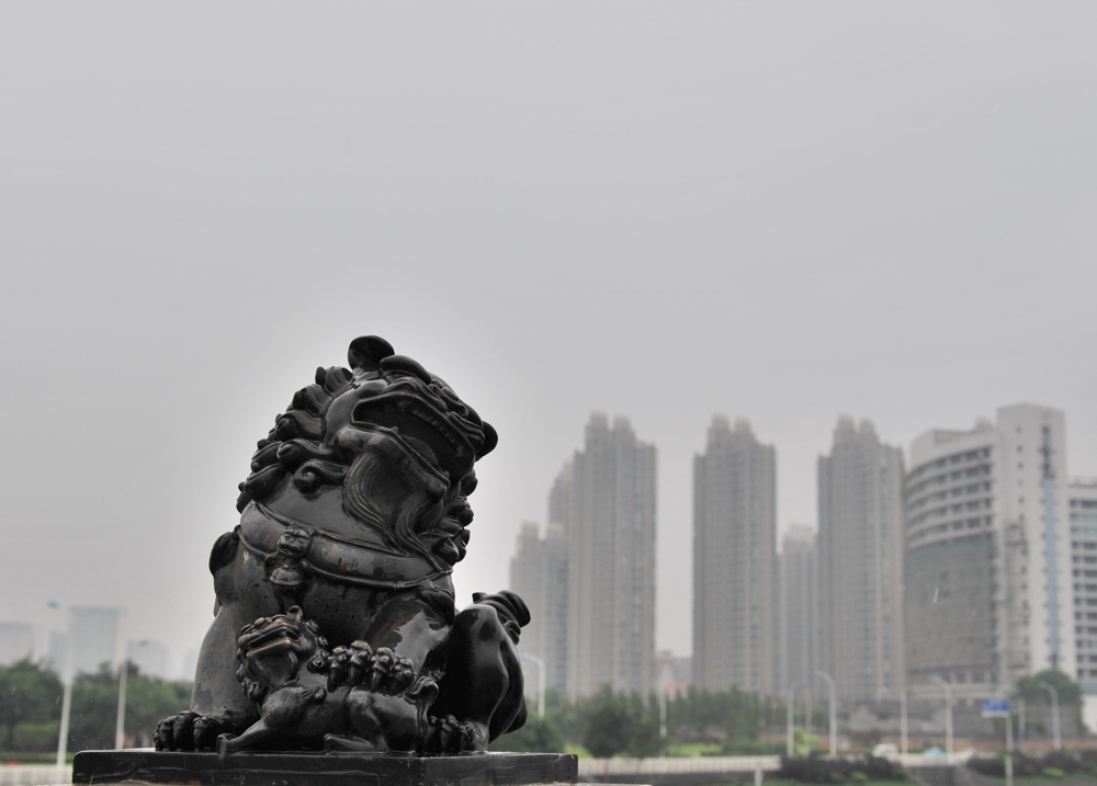10082023109daaee499a75d995.jpg