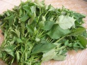 2011111600263613.jpg