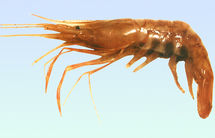 LJKFCAI373N4CAZ5M4IBCAYOECUGCAXKJNJ1CAFGZ209CAWH4A1KCA6FL7D6CAEABMI4CA6F99KNCACG.jpg