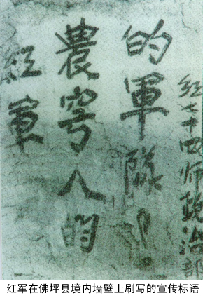 bbe0d311a8689041b8127b12.jpg