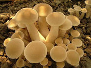 OFZ6CATM30XNCAM2EEW7CAACOIV1CARO92JSCAW9OV4ECAOHPQGGCAGP1IC8CARDPZAFCADT0P2SCA8K.jpg