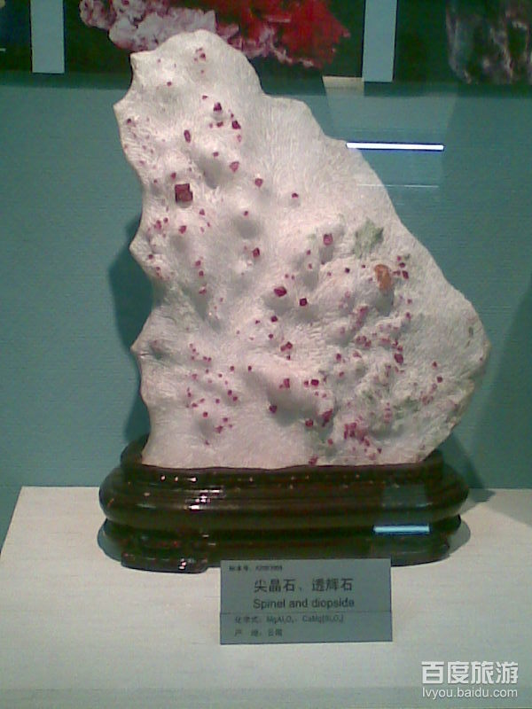 0b07ec1f48b0513bf724e437.jpg
