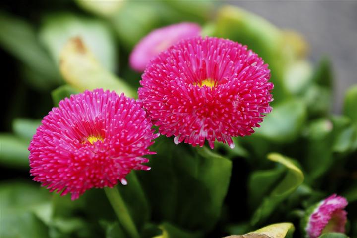 20130409074926114.jpg
