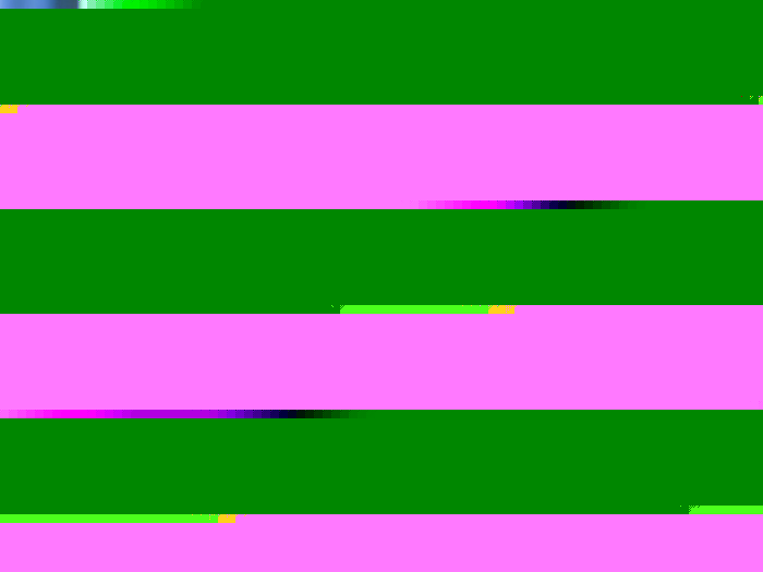 2009080710592644.jpg