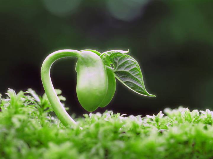 2011031009422318.jpg