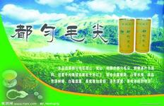 u=50937453,1752559087&fm=21&gp=0.jpg