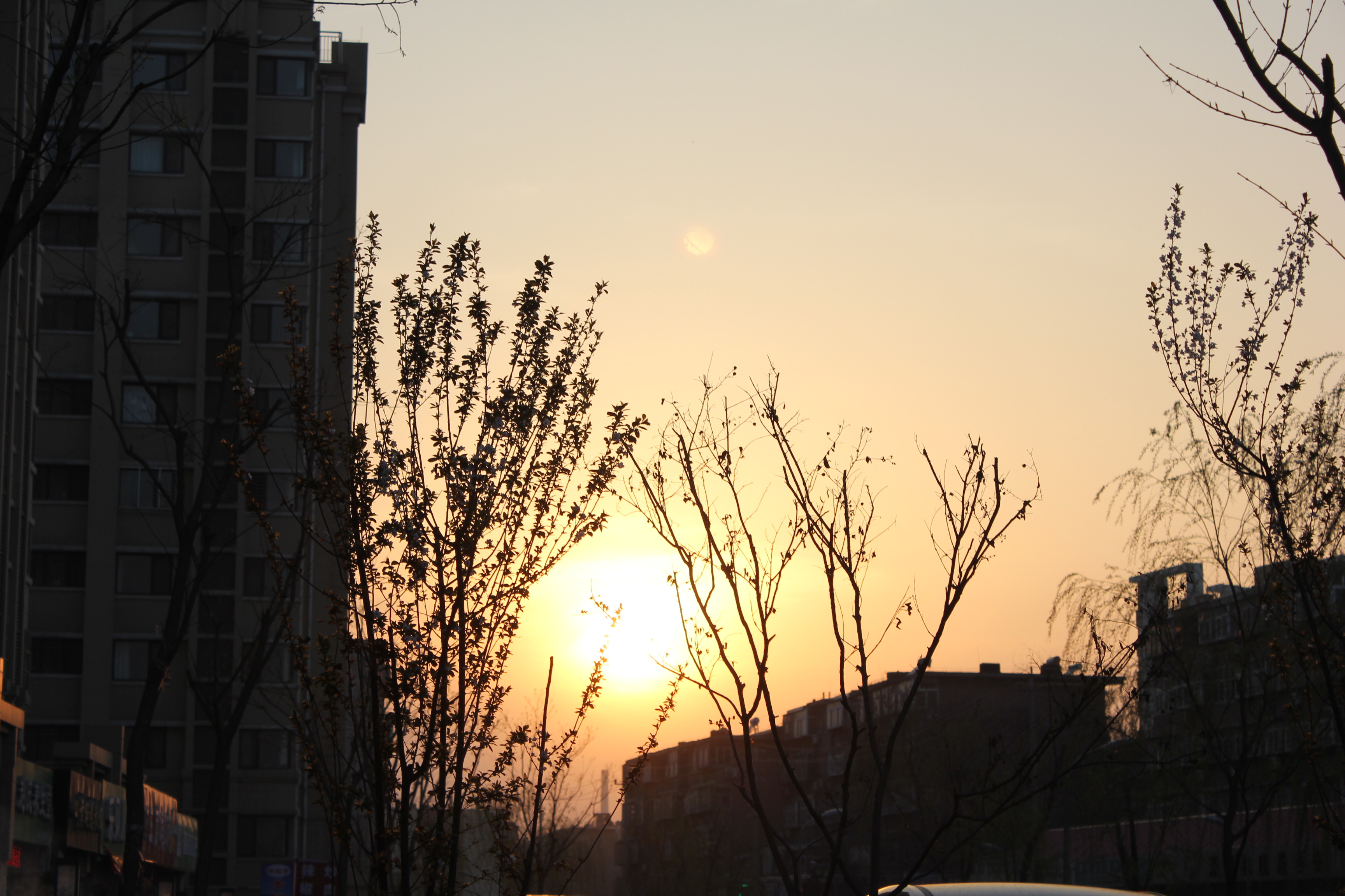 IMG_0004.JPG