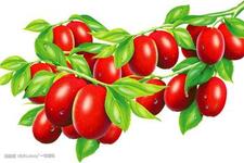 u=1458744561,179912636&fm=21&gp=0.jpg
